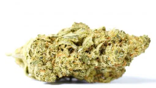 Cali weed kaufen